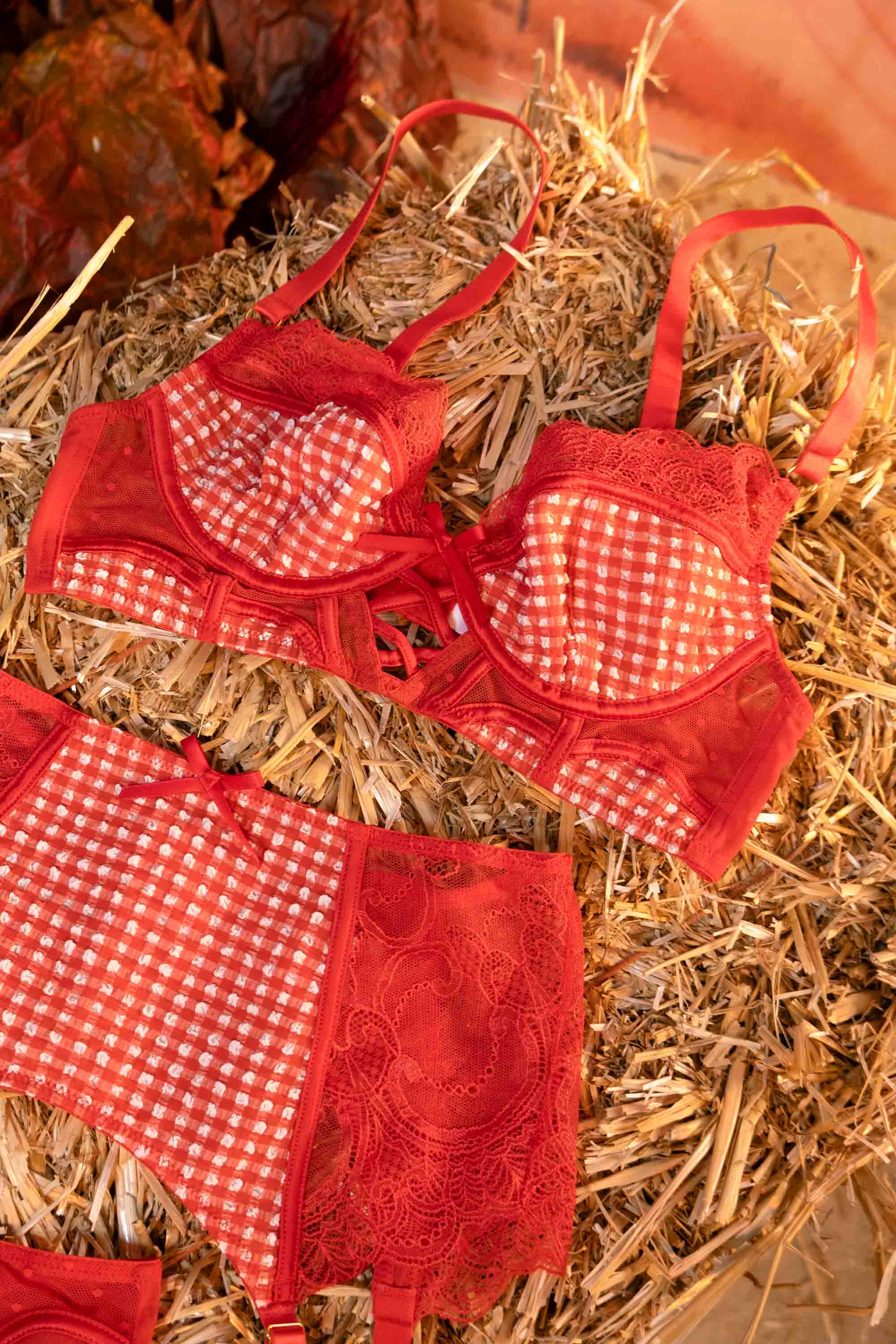 Adelaide Western Gingham And Lace Bra – Playful Promises
