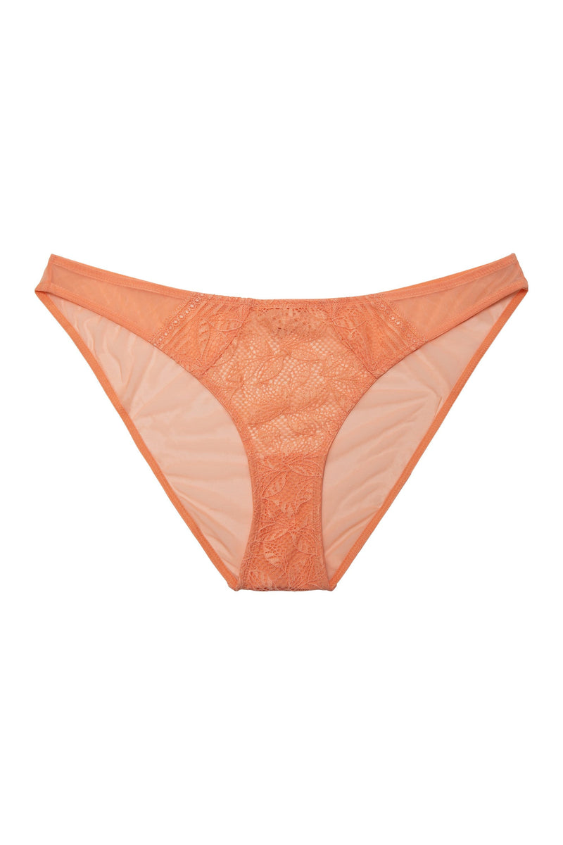 Emma Coral Brazillian Lace Brief