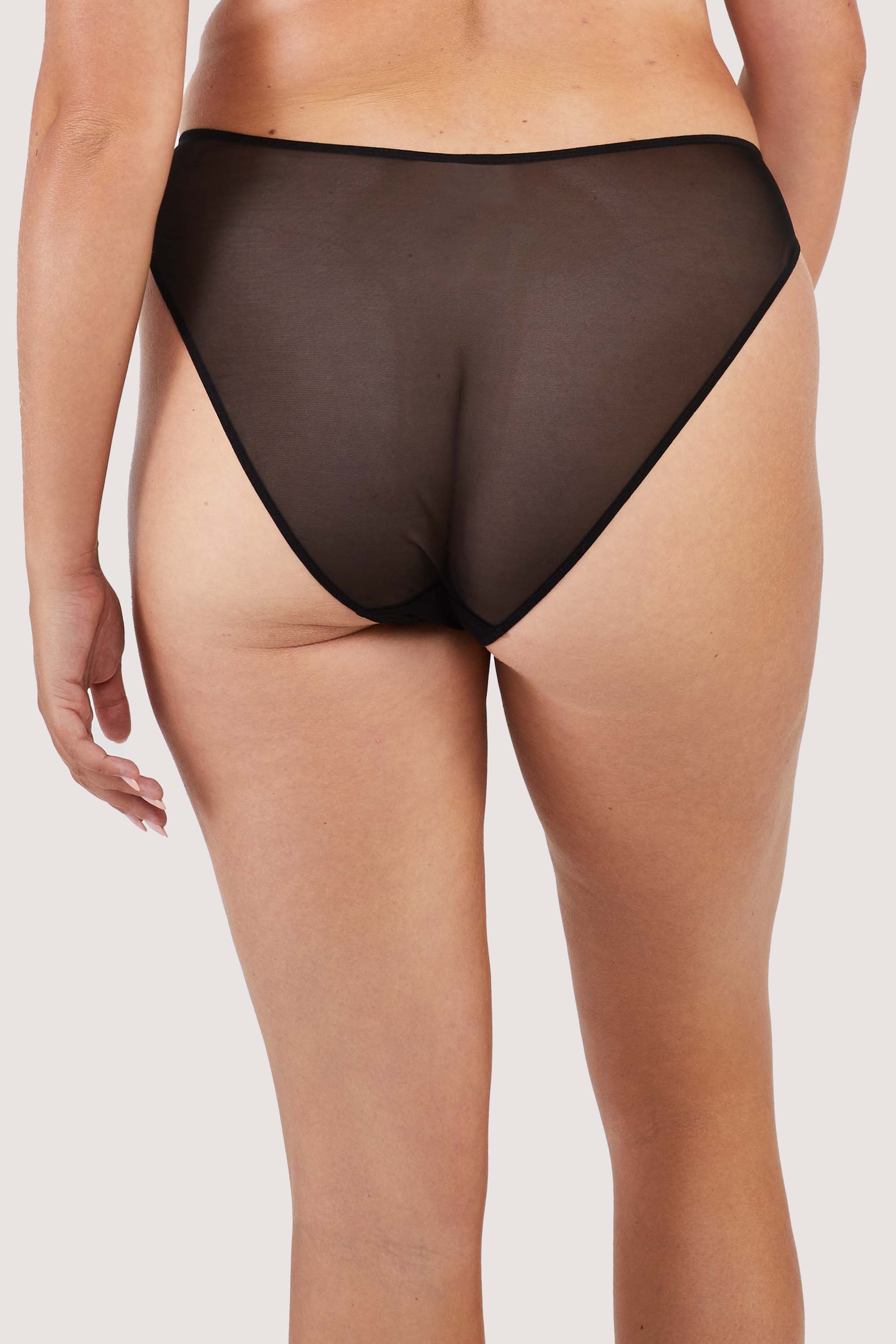Behind view of a black panelled mesh and lace brief with lace detailing.