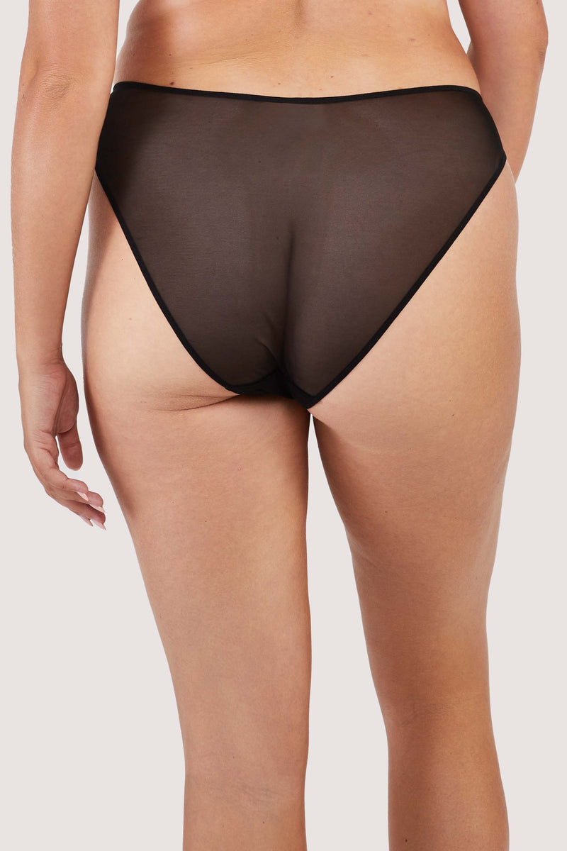 Behind view of a black panelled mesh and lace brief with lace detailing.