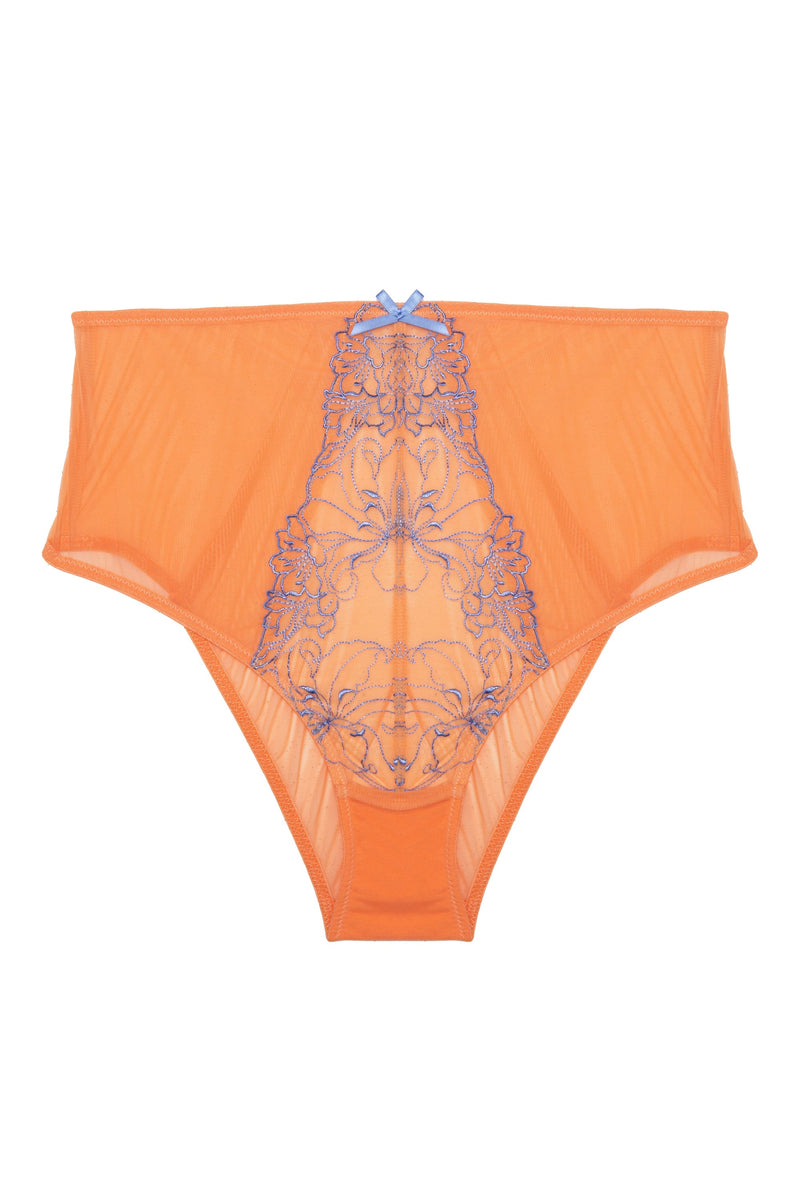 Palm Bay Coral Embroidery High Waist Brief