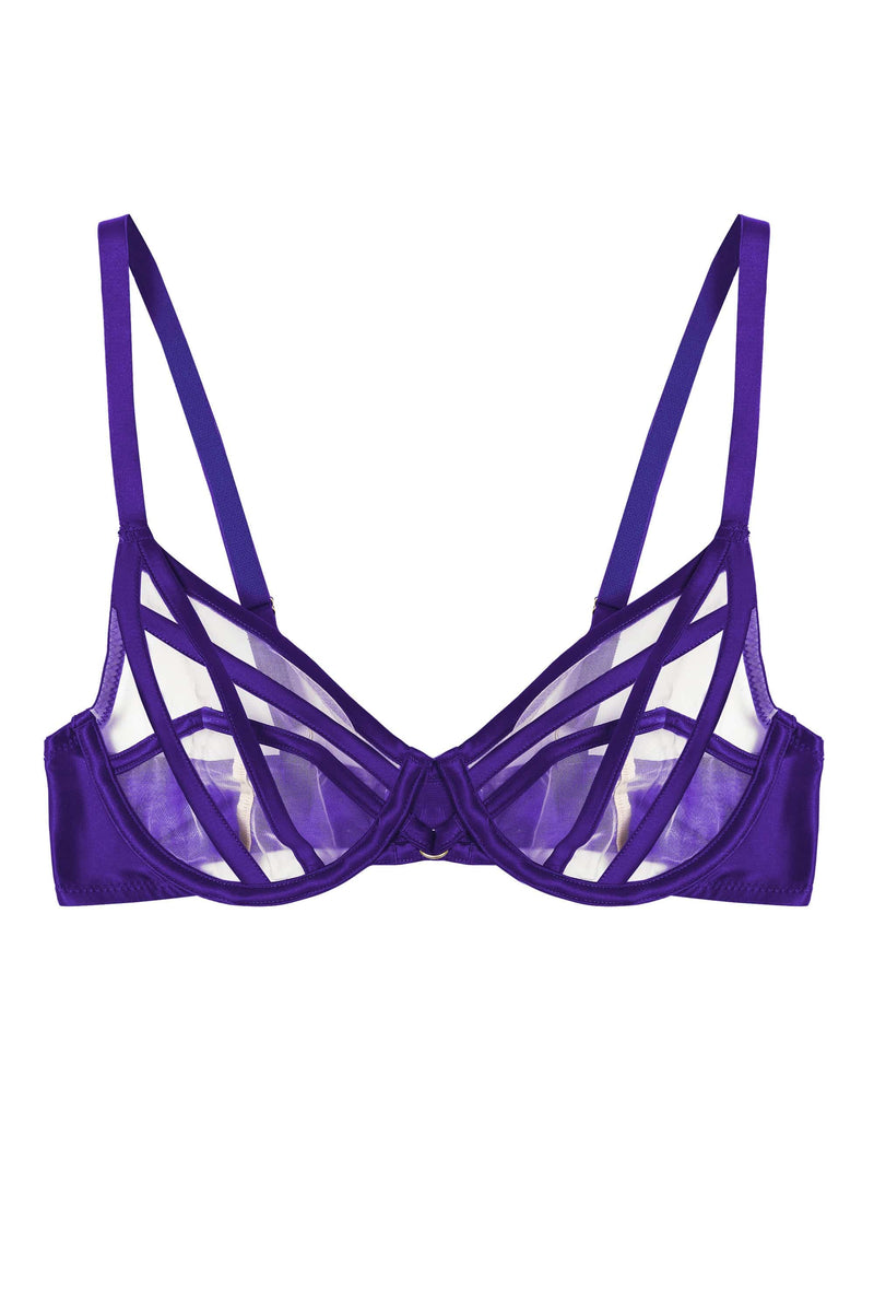 Ramona Purple Strap Detail Illusion Mesh Plunge Bra