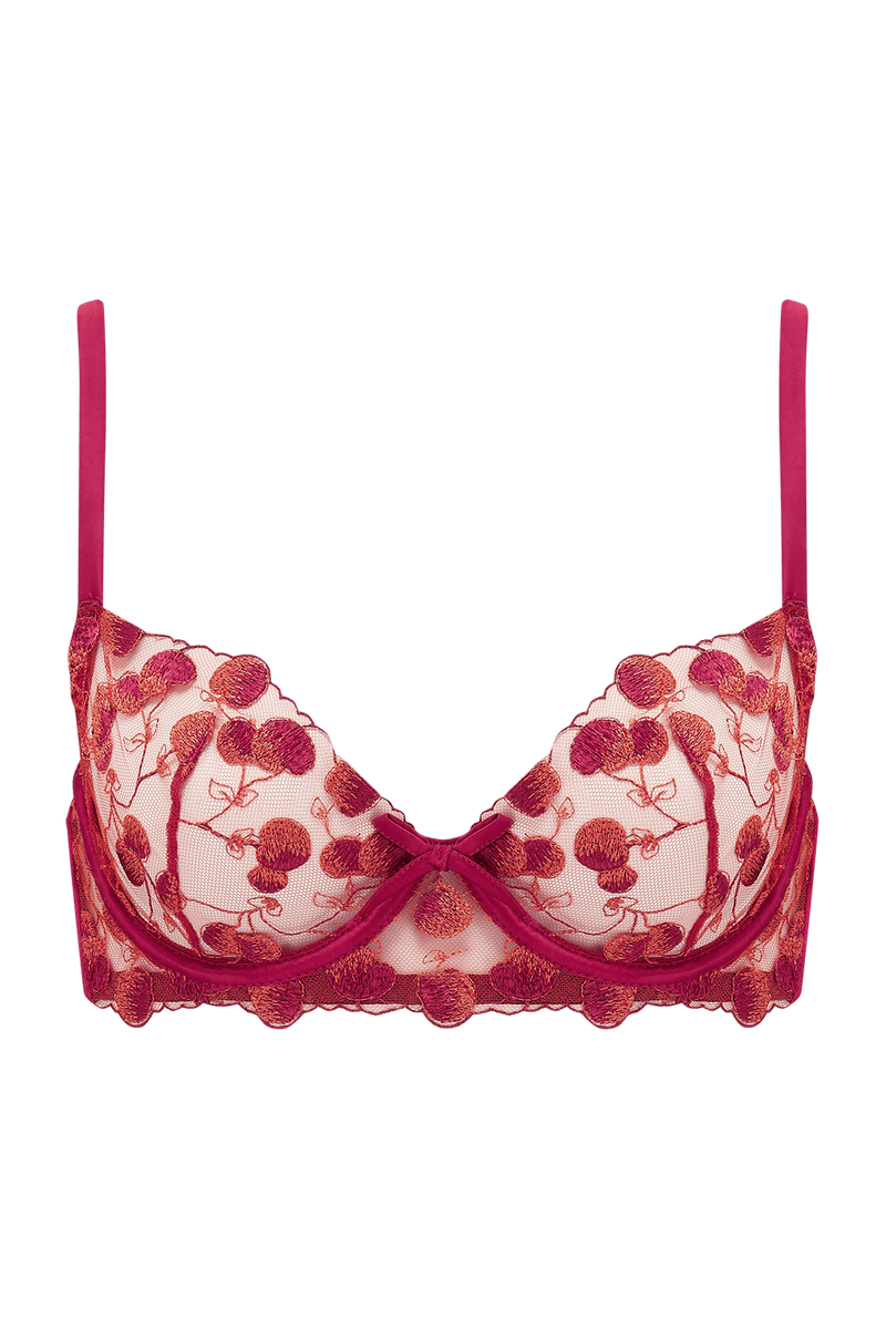 Naomi Cherry Plunge Bra – Playful Promises