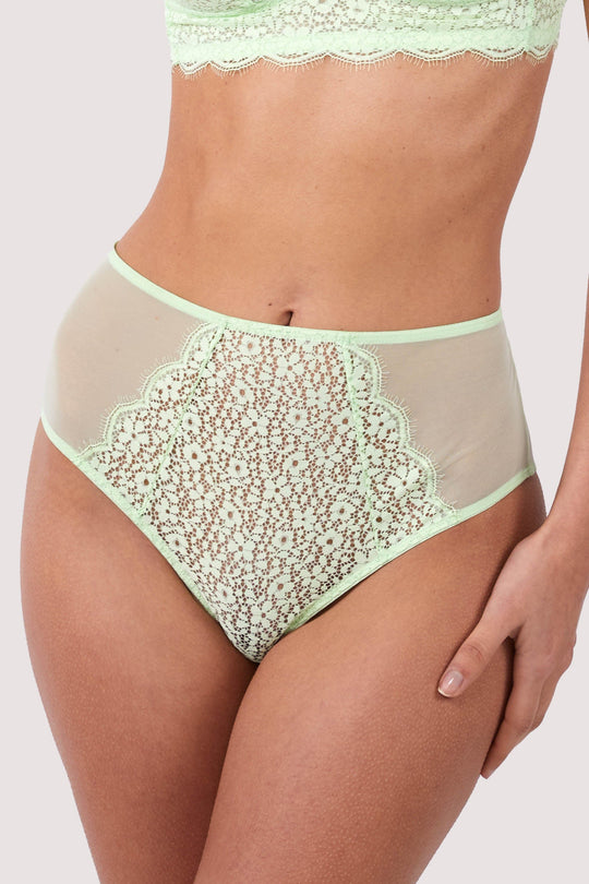 Laura Green High Waisted Brief