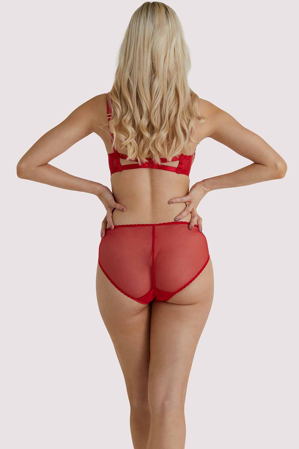 Julie's Roses Red Underwire Bra