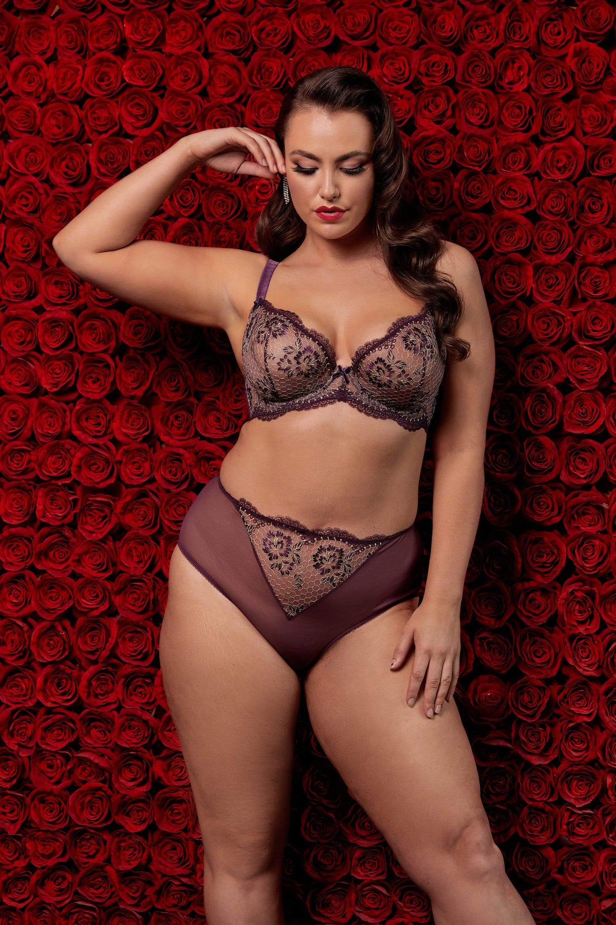 Evelina Aubergine Curve Brief