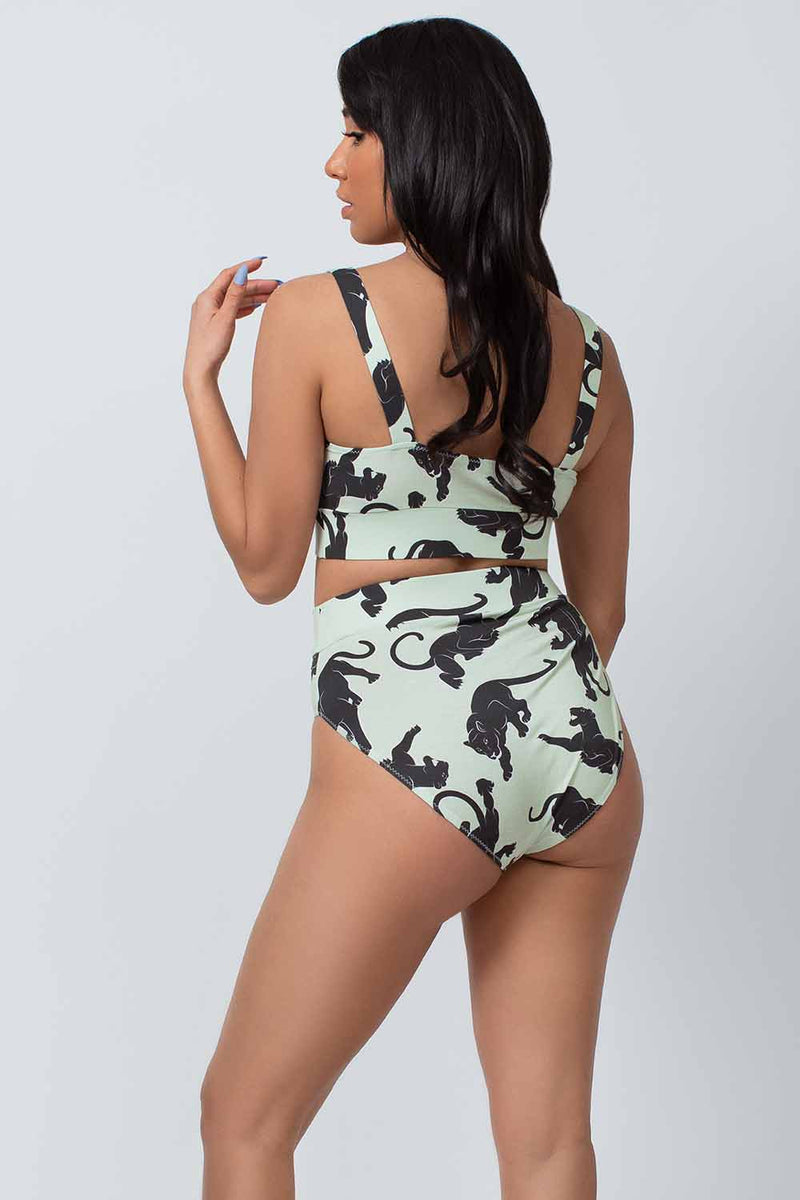 Black Panther Brief