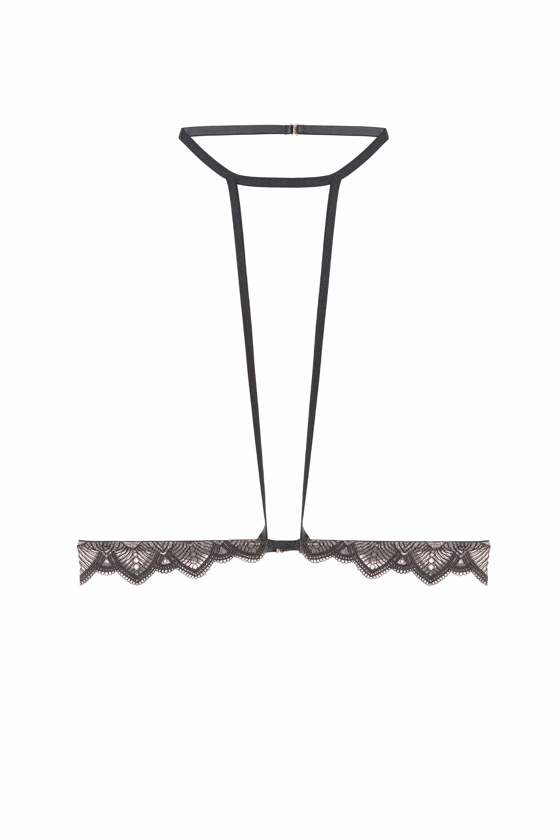 Playful Promises Curve Exclusive Playful Promises