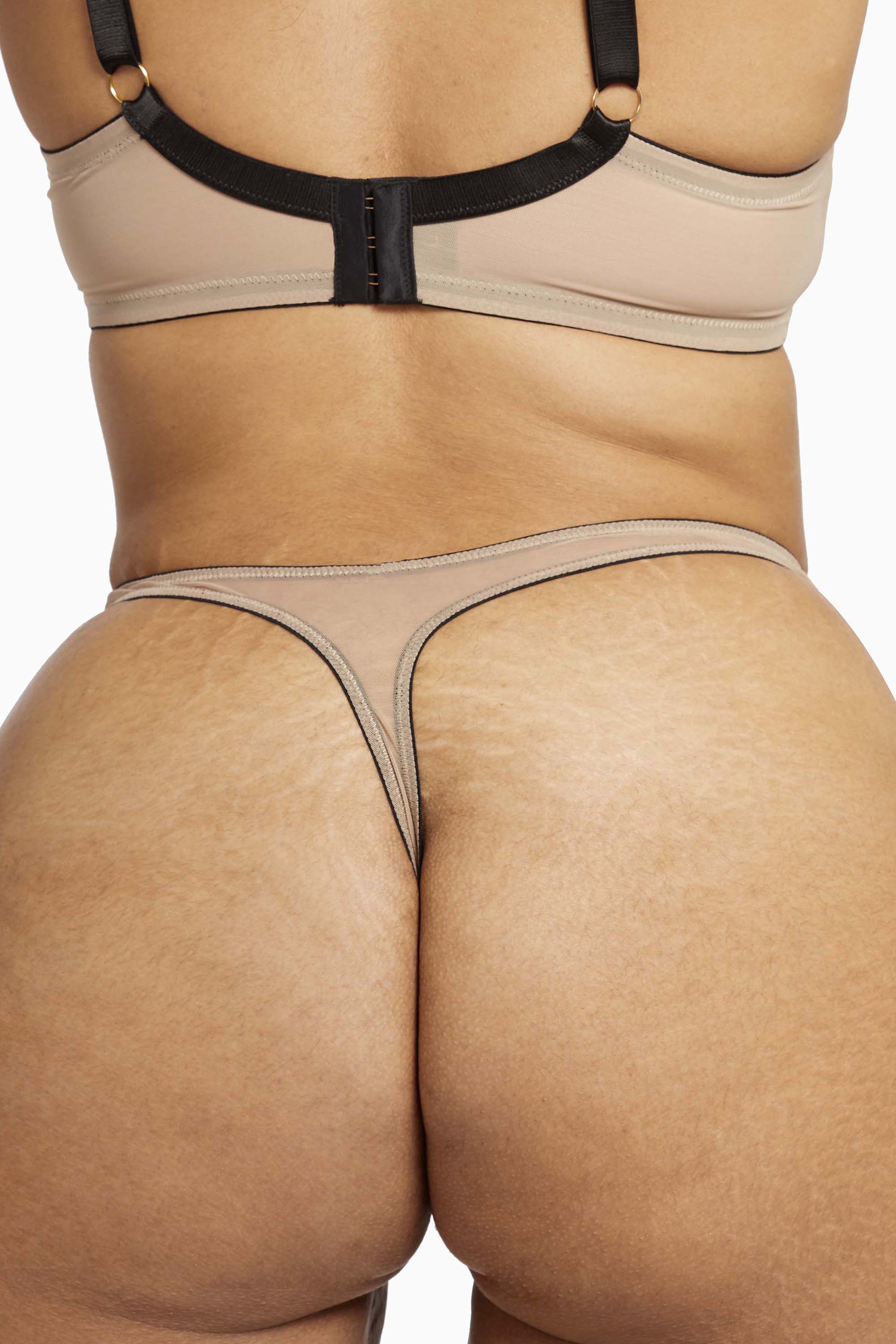 Curve