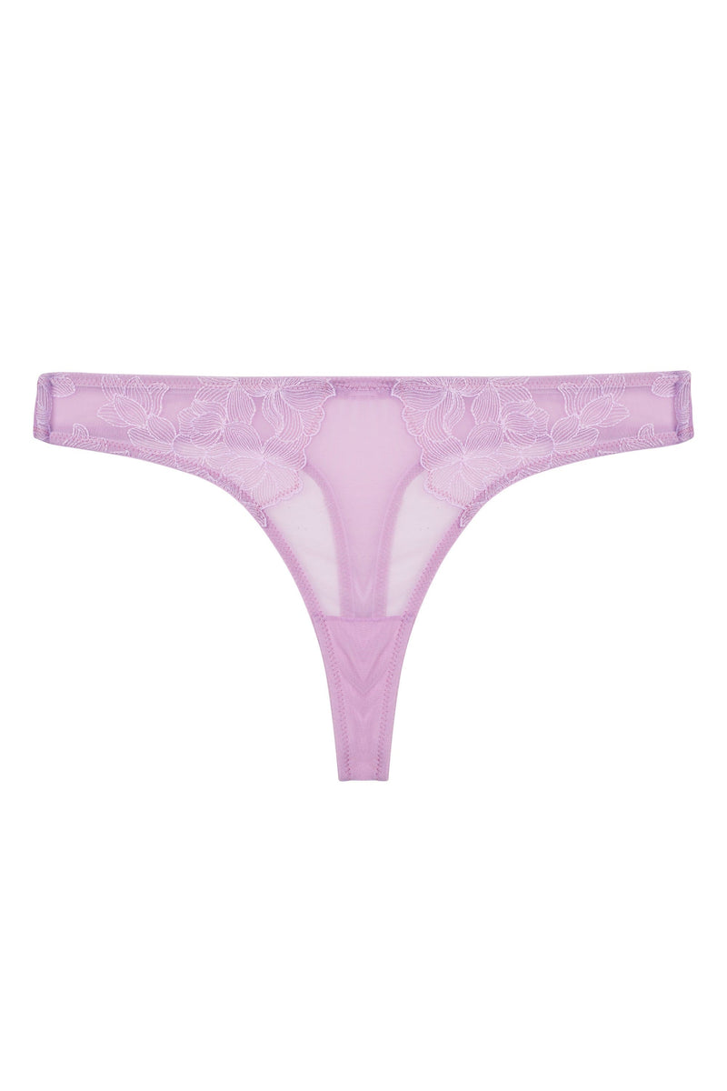 Bare Women's The Essential Lace Thong - A20283 3xl Passion Purple : Target