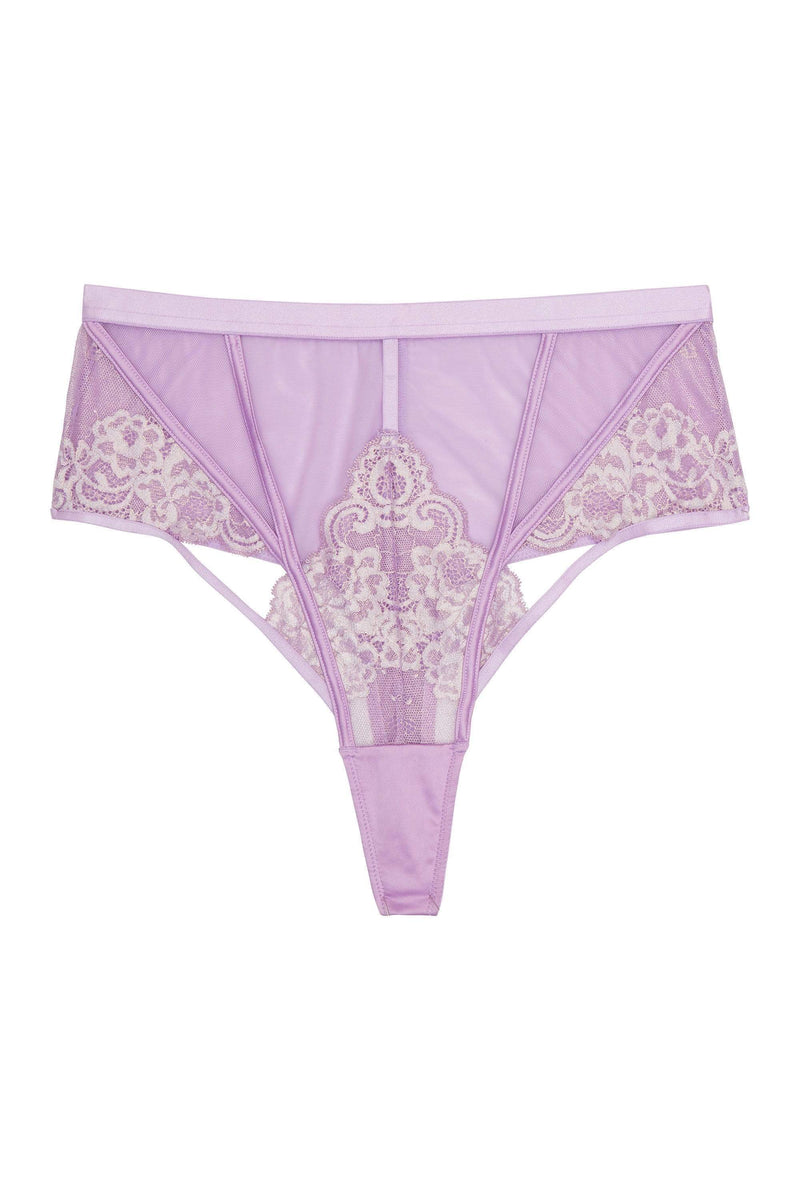 Fenella Lace and Net High Waist Brief Curve