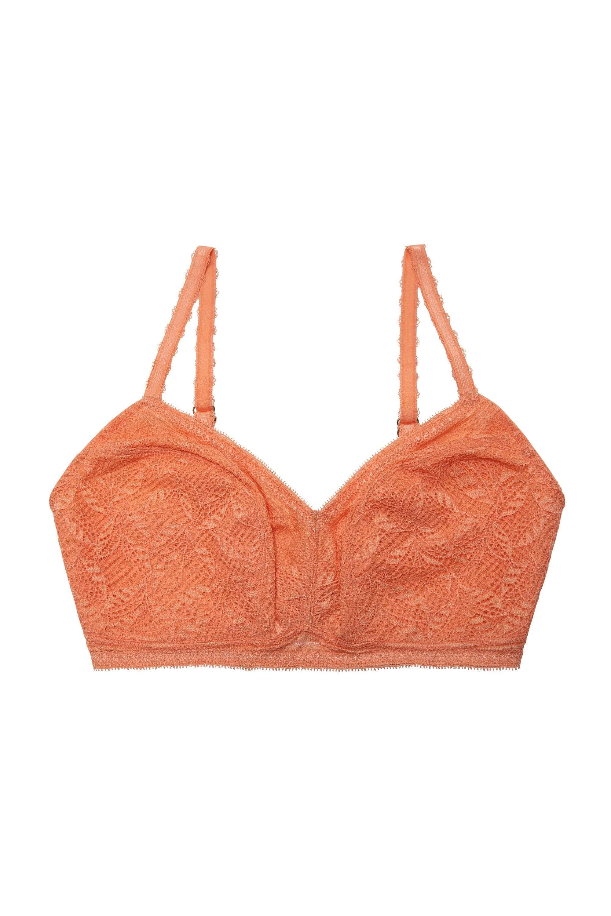 Emma Coral Lace Wireless Bra