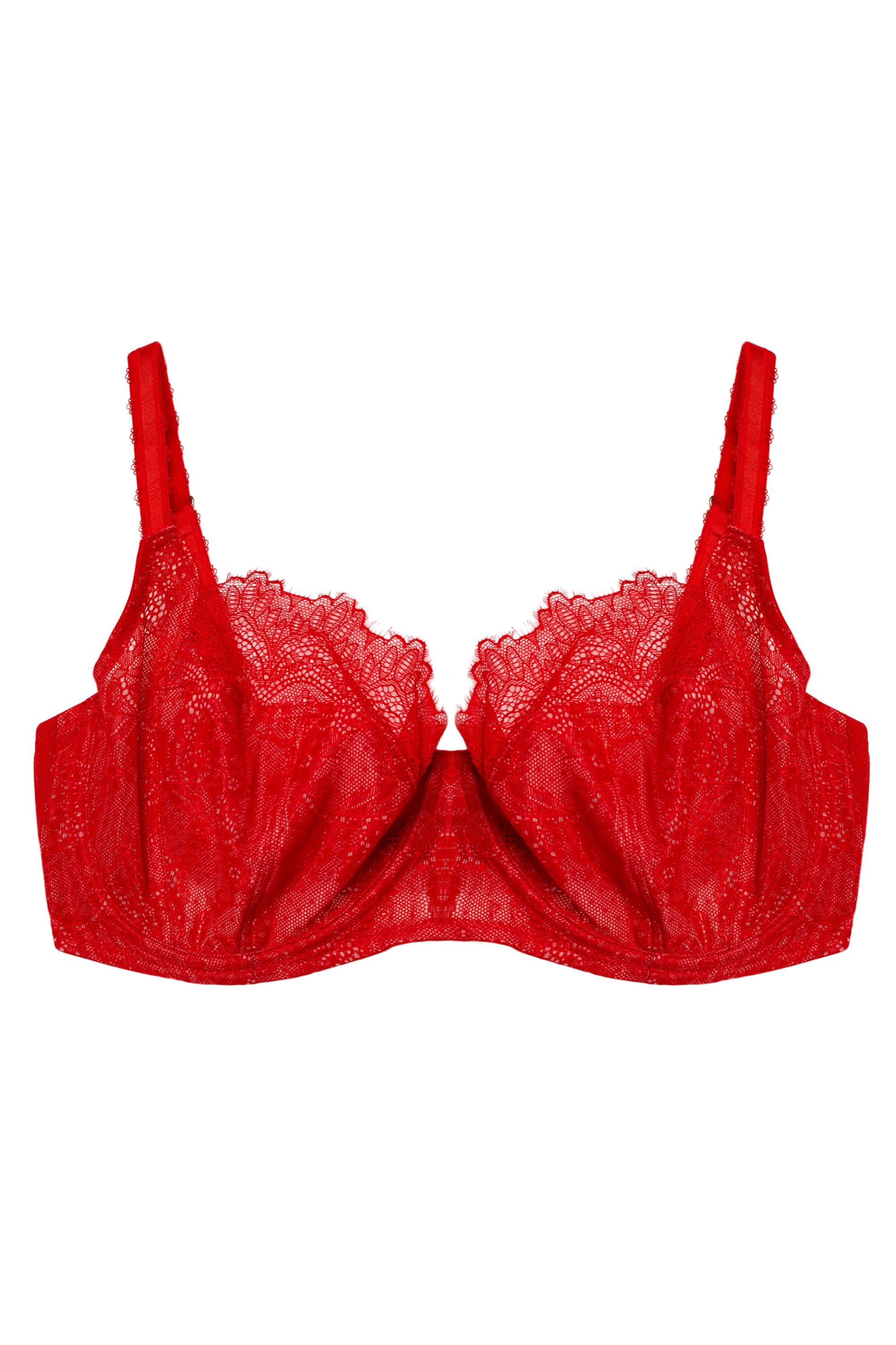 Rainbow Shops Womens Paisley Lace Balconette Bra, Converts to Strapless,  Red