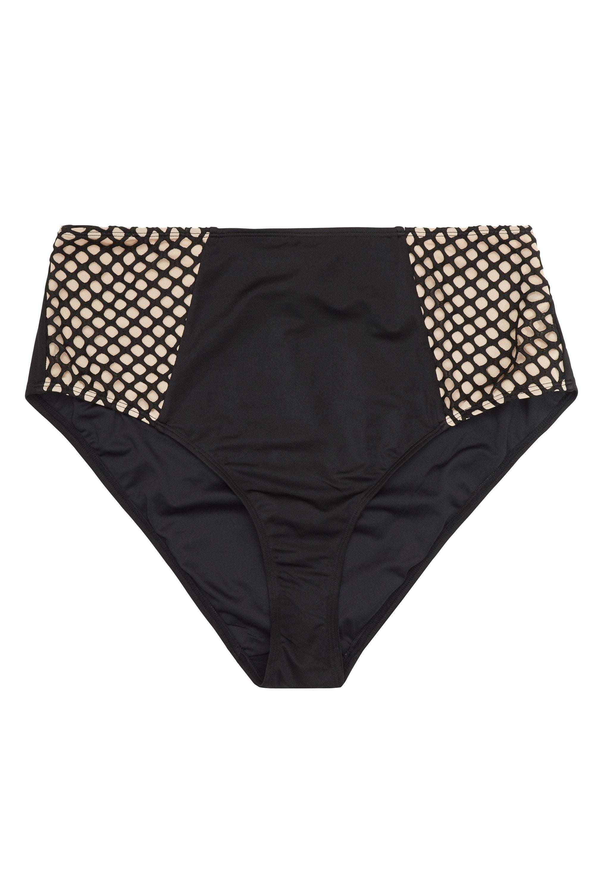 Cyra Fishnet Panel Bikini Brief Curve