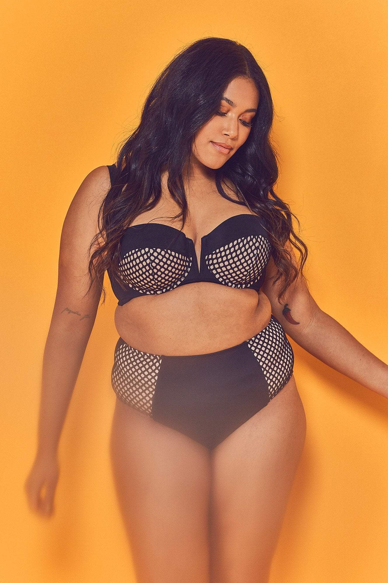 Cyra Fishnet Panel Bikini Brief Curve